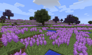 我的世界超多生物群系(Biomes O' Plenty)MOD