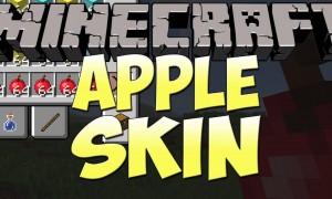 我的世界苹果皮(AppleSkin)MOD下载