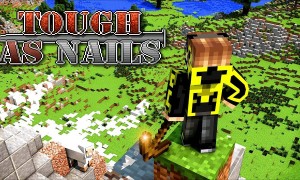 我的世界意志坚定(Tough As Nails)MOD