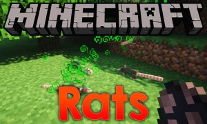 我的世界老鼠(Rats)MOD