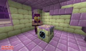 我的世界更多村民(More Villagers)MOD