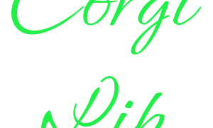 我的世界 CorgiLib MOD