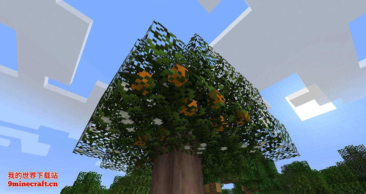 我的世界果树(Fruit Trees)MOD